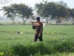 “Agriculture-related subsidies provide the required support to farmers and agriculture by promoting sustainable practices, and debt relief measures alleviate the financial burden of debt-ridden farmers. However, in the case of Punjab, subsidies are creating a tremendous fiscal burden as well as detrimental to the financial health of the state,” the study observes. (HT)