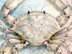 Cancer Horoscope Today: Read our expert astrological predictions to find out what the stars have in store for you.
