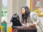 In a break from norm, Trinamool Congress MP Mahua Moitra taking her former partner—lawyer Jai Anant Dehadrai—to court seeking interim custody of her Rottweiler Henry gained prominence recently over her fiery interventions against the government. (mahuamoitra/X)