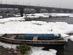 The court had taken suo motu cognisance in January 2021 following a petition filed by the Delhi Jal Board (DJB) seeking to restrain the Haryana government from discharging pollutants into the Yamuna (above). (Hindustan Times)
