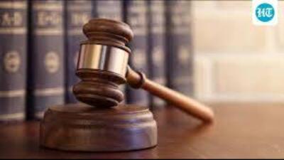 While posting the matter for further hearing on March 10, the court made it clear that the volunteers would be free to go to SPCA and to render their services as per the SOPs. (HT Photo for representation)