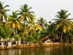 One origin story called the region the land of keram trees, keram being one of the Malayalam words for coconut. (Shutterstock)