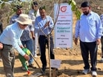 Saplings of banyan, white fig (pilkhan), cluster fig, white siris, burflower tree (desi kadam), Java plum (jamun) and bael (stone apple) were planted on Thursday. (HT Photo) Saplings of banyan, white fig (pilkhan), cluster fig, white siris, burflower tree (desi kadam), Java plum (jamun) and bael (stone apple) were planted on Thursday. (HT Photo)