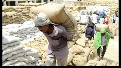 Punjab is staring at a severe foodgrain storage crisis as its godowns are filled to capacity, leaving barely any room to accommodate nearly 75 lakh tonnes of rice produced from last year’s paddy procurement. Punjab is staring at a severe foodgrain storage crisis as its godowns are filled to capacity, leaving barely any room to accommodate nearly 75 lakh tonnes of rice produced from last year’s paddy procurement.