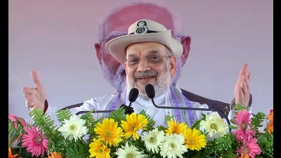 Union Home Minister Amit Shah (ANI Video Grab)