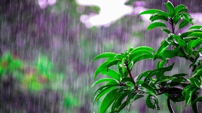 <p>ఉత్తర కోస్తా, దక్షిణ కోస్తాలో ఇవాళ తేలికపాటి నుంచి మోస్తారు వర్షాలు పడే అవకాశం ఉంది. మరికొన్ని చోట్ల ఉరుములతో కూడిన జల్లుల పడొచ్చు. రేపు పొడి వాతావరణం ఉండే అవకాశం ఉంది.<br> </p> <p>ఉత్తర కోస్తా, దక్షిణ కోస్తాలో ఇవాళ తేలికపాటి నుంచి మోస్తారు వర్షాలు పడే అవకాశం ఉంది. మరికొన్ని చోట్ల ఉరుములతో కూడిన జల్లుల పడొచ్చు. రేపు పొడి వాతావరణం ఉండే అవకాశం ఉంది.<br> </p>