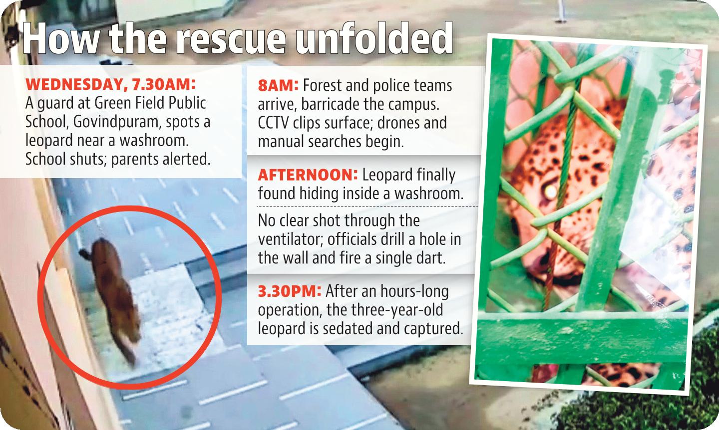 How the rescue unfolded