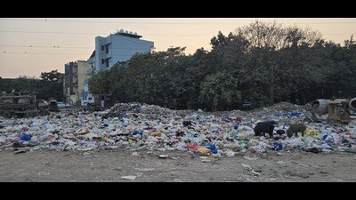 Locals said the heap of garbage continues to grow daily (HT) Locals said the heap of garbage continues to grow daily (HT)