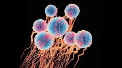GRAIL IS AN American biotech company with an ambitious goal: to develop a blood test for the early detection of over 50 types of cancer GRAIL IS AN American biotech company with an ambitious goal: to develop a blood test for the early detection of over 50 types of cancer