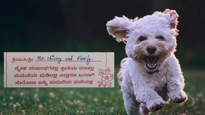 A wedding invite from a veterinarian addressed to a family’s dog went viral. (X/@Sunidiee) A wedding invite from a veterinarian addressed to a family’s dog went viral. (X/@Sunidiee)