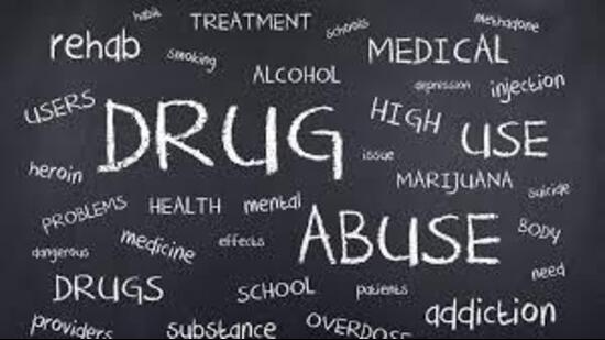 Sixteen intoxicant capsules and 45 mg of smack were recovered from Harpreet Singh’s possession. (HT File)