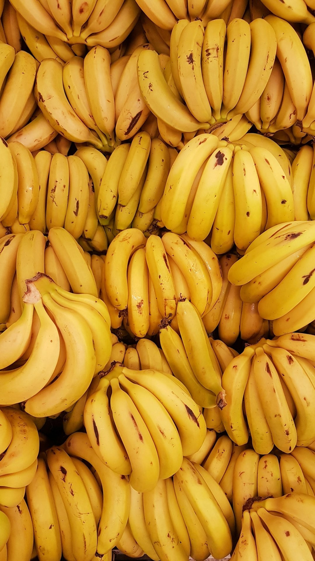 Banana is rich in prebiotics. (Picture credit: Unsplash) Banana is rich in prebiotics. (Picture credit: Unsplash)