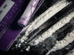 The Narcotics Wing in Bengaluru discovered 3,000 MDMA pills, 230 grams of MDMA crystal, and large quantities of ganja.