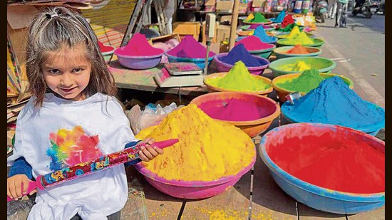 Shops in daresi ground market selling various coloured gulals and T shirts, and masks in preparation for Holi festival celebrations in Ludhiana on Saturday, February 28, 2026. (Gurpreet Singh)