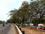 Dense tree cover along the Palm Beach Road acts as a crucial natural pollution barrier, said Shrikant Patki, convenor, Palm Beach Greens Forum (HT PHOTO)