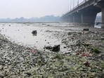 MCD also proposed decentralised sewage treatment plant projects in dairy colonies with expenditure of around <span class='webrupee'>₹</span>34 crore. (HT archive) MCD also proposed decentralised sewage treatment plant projects in dairy colonies with expenditure of around <span class='webrupee'>₹</span>34 crore. (HT archive)