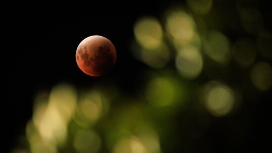 This photograph shows a view of a full moon, also known as "Blood Moon", with leaves in the foreground during a phase of a total lunar eclipse in Jakarta on September 8, 2025. (AFP)