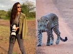 Malavika Mohanan reflects on her wildlife experiences, emphasizing the importance of patience and respect for nature, especially as a photographer.