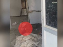 మార్చురీ లోపల శవాన్ని పీక్కుతిన్న కుక్క