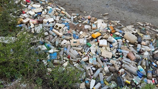 A man shared photos of garbage piled along Andaman roads. (X/@indian_pitta)