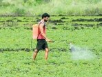 The domestic crop-nutrient industry is staring at another key risk — a shortage of imported gas supplies, which fire fertiliser plants. (Shankar Narayan/HT Photo)