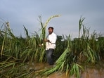 Solapur, India. Sep 27, 2025 - Yashwant Deshmukh lost his farms due to heavy rains and flooding in Kolegaon village in Solapur. Heavy rain and floods in Solapur district. Over the past four days, eight people have lost their lives, and more than 150 villages have been affected by the intense rainfall. Solapur, India. Sep 27, 2025. (Photo by Raju Shinde/HT Photo) (Raju Shinde)