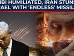 bibi bibi