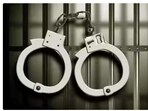 The accused, Arun Sharma and Seema Dhiman, were produced before a local court in Panchkula on Saturday, which remanded them to three days of police custody.