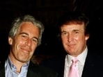 Jeffrey Epstein seen with Donald Trump in a photo.