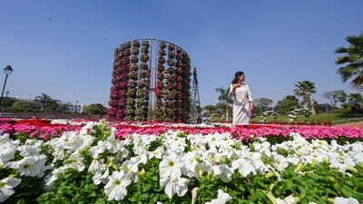 Gram it: For those who are planning to visit central Delhi, must stop by at Central Park above Rajiv Chowk Metro Station, to get enchanted by the blooming flowers here! Even on a hot day, here's how Connaught Place is buzzing in vibrant hues. (Photo: Raj K Raj/HT)
