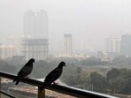Clean air, clear water, and non-degraded soil are non-negotiables, and precarious ecosystems must be protected at all costs. (Raju Shinde/HT Photo)