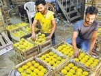 The Konkan region is the country’s biggest producer of the world-famous Alphonso mango.
