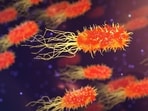 AMR(Representational Image)