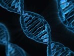 Genomic testing(ANI)