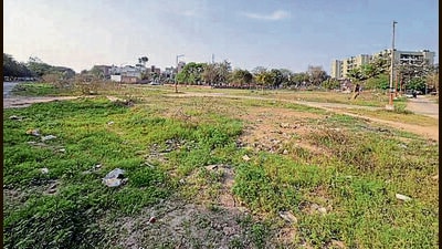 A plot reserve for EWS category in Shaheed Bhagat Singh Nagar, Ludhiana, on Sunday. (Manish HT) A plot reserve for EWS category in Shaheed Bhagat Singh Nagar, Ludhiana, on Sunday. (Manish HT)