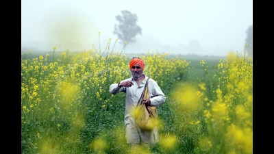 The increased allocation for agriculture is in fact meagre compared to inflation, he said. “The rates of land holdings, DAP, urea, fertilisers, pesticides and machines are skyrocketing.