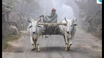 Under the Mahatma Gandhi National Rural Employment Guarantee Act (MGNREGA), the government has set aside a budget of ₹1,500 crore for the upcoming financial year. Under the Mahatma Gandhi National Rural Employment Guarantee Act (MGNREGA), the government has set aside a budget of ₹1,500 crore for the upcoming financial year.