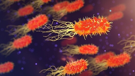 AMR (Representational Image)