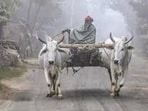 Under the Mahatma Gandhi National Rural Employment Guarantee Act (MGNREGA), the government has set aside a budget of  <span class='webrupee'>₹</span>1,500 crore for the upcoming financial year.