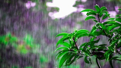 <p>దక్షిణ కోస్తాలో చూస్తే… వేడి, తేమతో కూడిన వాతావరణం ఉంటుందని అమరావతి వాతావరణ కేంద్రం తెలిపింది. ఎలాంటి వర్షసూచన లేదని పేర్కొంది. </p> <p>దక్షిణ కోస్తాలో చూస్తే… వేడి, తేమతో కూడిన వాతావరణం ఉంటుందని అమరావతి వాతావరణ కేంద్రం తెలిపింది. ఎలాంటి వర్షసూచన లేదని పేర్కొంది. </p>