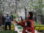Tourists posing with almond blooms at Badamwari in Srinagar on Monday. (Floriculture dept)