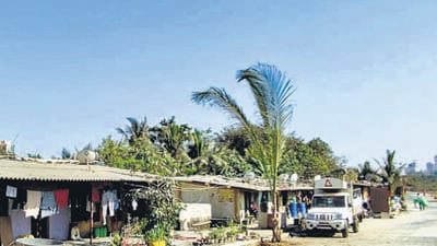 During an inspection held in December last year, large parts of the mangrove-protected areas, including those in Gorai, were found to be encroached for setting up slums and godowns. During an inspection held in December last year, large parts of the mangrove-protected areas, including those in Gorai, were found to be encroached for setting up slums and godowns.