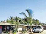 During an inspection held in December last year, large parts of the mangrove-protected areas, including those in Gorai, were found to be encroached for setting up slums and godowns.