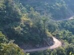 Morni Hills was formerly a part of the Sirmaur district, in Himachal Pradesh and became a part of Haryana in 1966 (Ht Photo)