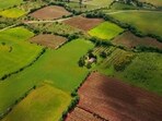 Godrej Properties has acquired a 44-acre land parcel in Coimbatore for a plotted residential project with an estimated revenue potential of <span class='webrupee'>₹</span>450 crore. (Photo for representational purposes only)