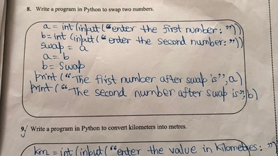 A woman shared her sister’s Class 7 Python assignment on X. (X/@pikachiuiu) A woman shared her sister’s Class 7 Python assignment on X. (X/@pikachiuiu)