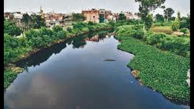 MC officials said that the ₹19.60-cr payment would be cleared once the Finance and Contracts Committee clears the bill. (HT photo) MC officials said that the ₹19.60-cr payment would be cleared once the Finance and Contracts Committee clears the bill. (HT photo)
