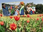 Glimpses of the tulip bloom in February, which attracted many visitors to central Delhi (Photo: RAJ K RAJ/ HT(for representational purpose only))
