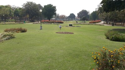 Spread across a gentle mound near the Hibiscus Garden in Sector 36, the Island of Fragrance rises like a green whisper amid concrete conversations. Spread across a gentle mound near the Hibiscus Garden in Sector 36, the Island of Fragrance rises like a green whisper amid concrete conversations.