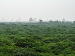 According to officials, operational challenges were an issue when Delhi had only three forest divisions. (HT archive)